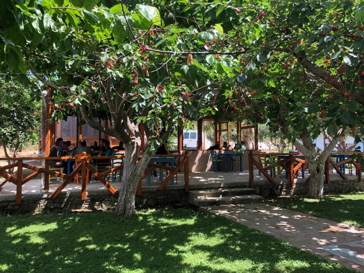 Gregory'S Village Plati  Exterior foto